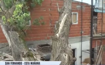 Un árbol cayó sobre una vivienda y produjo importantes destrozos