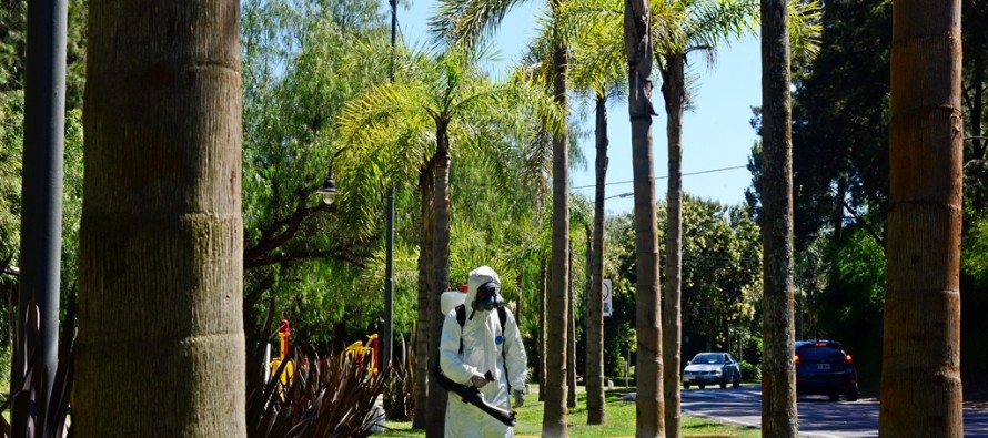 Se puso en marcha el Programa de Prevención del Dengue