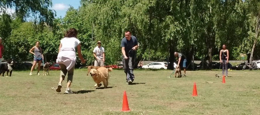 La experiencia del programa de Tenencia Responsable fue compartida con veterinarios de la provincia