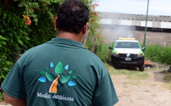 Continúan los trabajos para prevenir el dengue