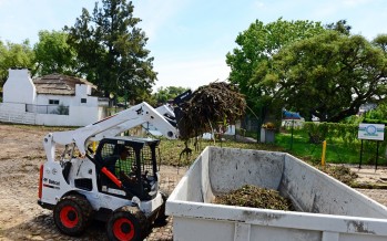 Limpieza y remoción de camalotes en los barrios lindantes a los ríos