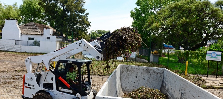 Limpieza y remoción de camalotes en los barrios lindantes a los ríos