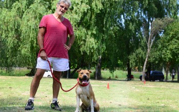 Recomendaciones sobre la tenencia responsable de perros