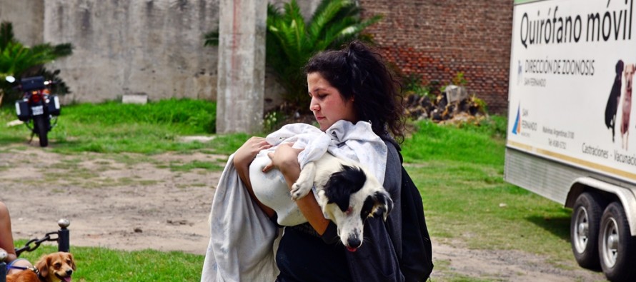 Zoonosis: balance del 2015 y lugares donde funcionará el Quirófano Móvil esta semana