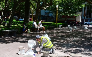 Tareas de limpieza, renovación de baldosas y pintada de bolardos en Plaza Mitre