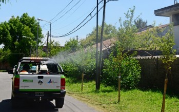 Campaña contra el dengue en los barrios Alvear, Alsina y San Martín