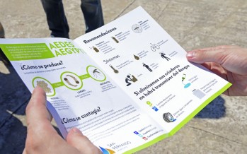 Operativos para evitar la propagación del dengue