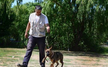Taller de adiestramiento canino gratuito en el Parque Naútico