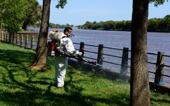 Fumigan los polideportivos para evitar la propagación del dengue