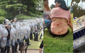 La diputada Cubría presentó un proyecto de repudio por la represión a los trabajadores en La Plata