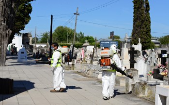 Operativo de fumigación en el cementerio municipal para prevenir el dengue