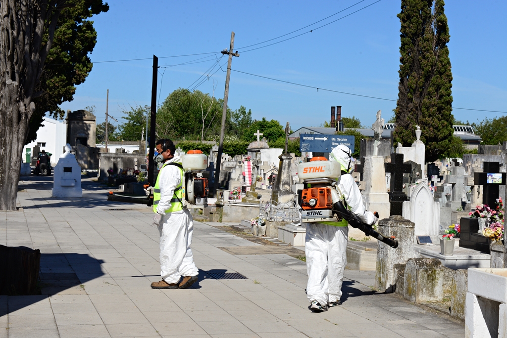 Operativo de fumigación en el cementerio municipal para prevenir el ...