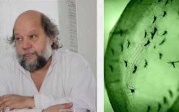 Dengue y ZIKA: Baja mortalidad, alta desigualdad