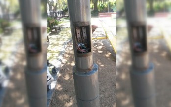Periodismo ciudadano: el poste de luz de la plaza de Maipú y Perón