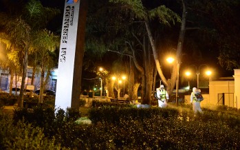 Continúan los operativos de fumigación para prevenir la propagación del dengue