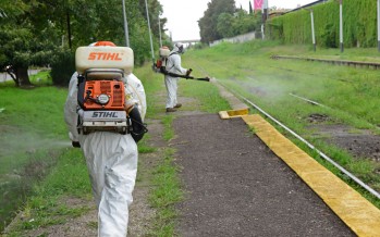 Dengue: operativos de fumigación en la estación Schweitzer y alrededores