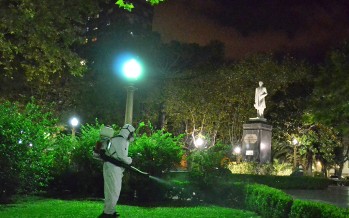 Operativo de fumigación en Plaza Mitre para prevenir el dengue