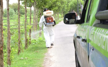 Dengue: operativos de fumigación en arroyo Fate y barrio San Martín