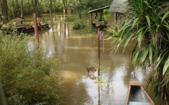 Sudestada: se prevé que el río descienda por la tarde