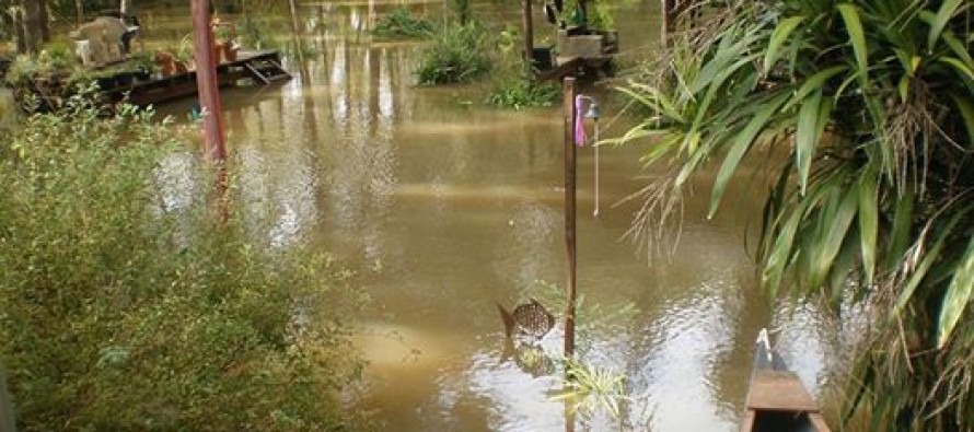 Sudestada: se prevé que el río descienda por la tarde