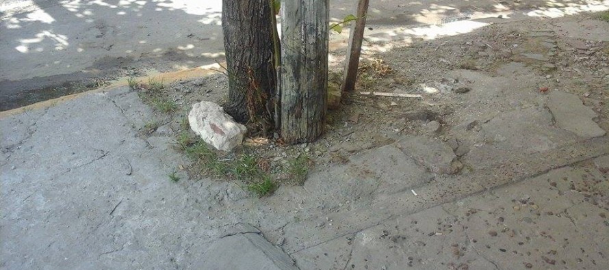 Periodismo ciudadano: un poste de luz en Madero al 2100 “sostenido por dos ramitas”