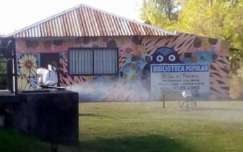 Dengue: operativos de fumigación en Islas