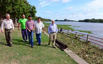 Operativo de limpieza en la Costanera frente al avance de camalotes por la crecida del río