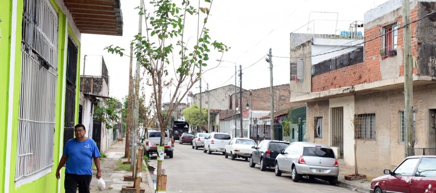 Continúa el ‘Plan de Forestación’