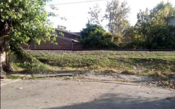Periodismo ciudadano: alambre caído en las vías del Tren de la Costa