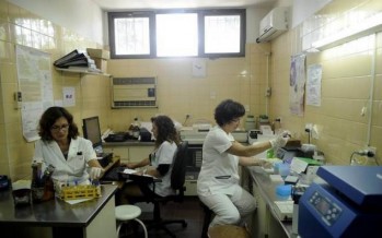 Dengue: El trabajo sin pausa del laboratorio del Hospital Petrona V de Cordero