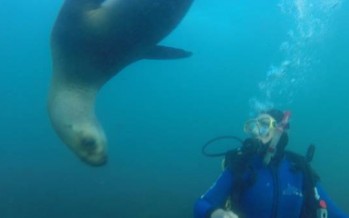 Una experiencia distinta para Paula Pareto en Puerto Madryn