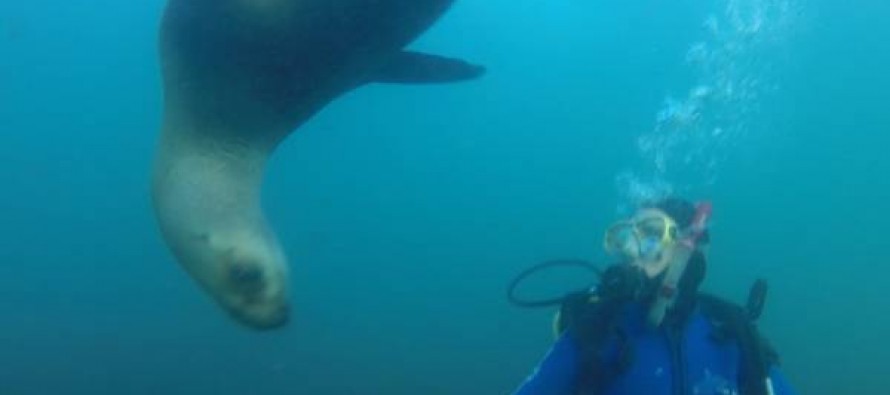 Una experiencia distinta para Paula Pareto en Puerto Madryn