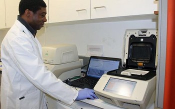 Un organismo internacional contribuirá a esterilizar el mosquito transmisor del zika