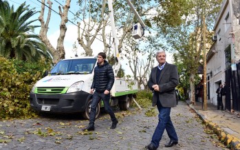 Comenzó la temporada de poda