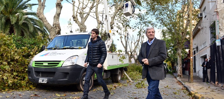 Comenzó la temporada de poda