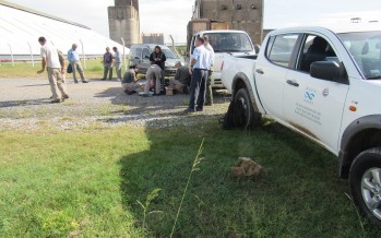 Durante la inundación rescatan familia de ciervo de los pantanos