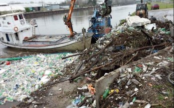 «Declaren la emergencia ambiental en el Río Reconquista»