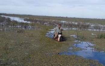 Campaña solidaria para los isleños del Delta de San Fernando