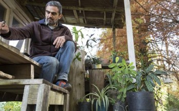 Polo creativo: la zona norte, refugio de artistas plásticos