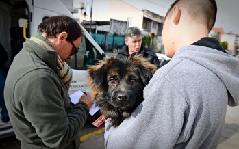 Atención al Vecino, Zoonosis y Salud Pública continúan sus operativos por los barrios