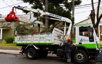 Poda correctiva en el estacionamiento y frente del Hospital Petrona V. de Cordero