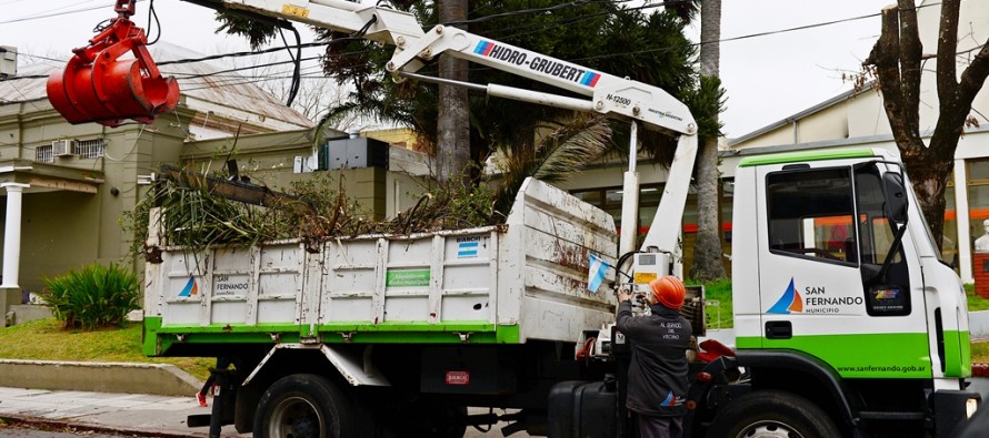 Poda correctiva en el estacionamiento y frente del Hospital Petrona V. de Cordero
