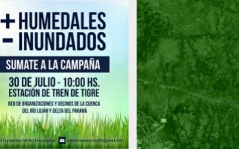Lanzamiento de la campaña «+ Humedales – Inundados»
