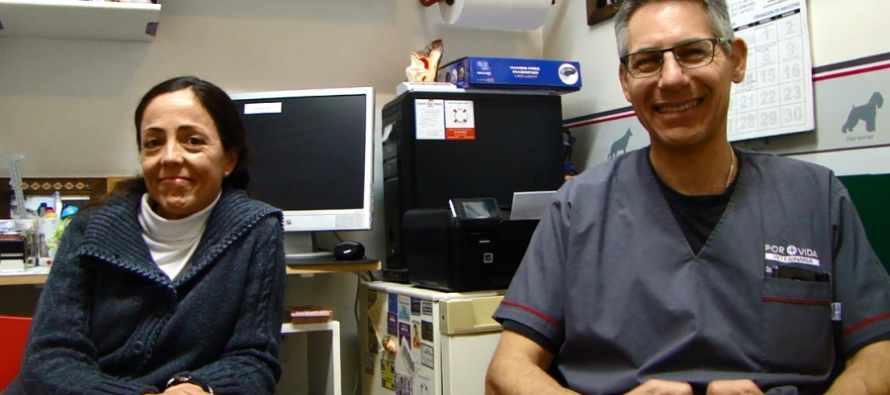 “La tenencia responsable se ha incrementado mucho pero todavía falta educación sobre qué significa tener una mascota”