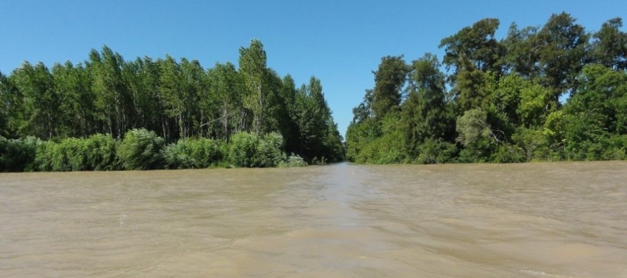 Encontraron altos niveles de glifosato en la cuenca del Río Paraná