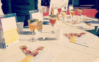 Abrió la convocatoria para participar del concurso sobre mieles del Delta y franja costera