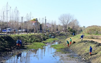 Tareas de limpieza en el zanjón Fate
