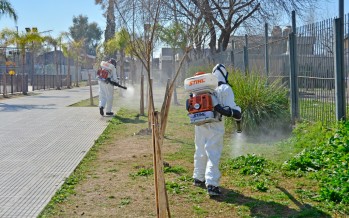 Trabajos de prevención contra el dengue