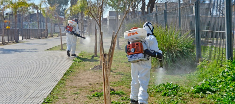 Trabajos de prevención contra el dengue