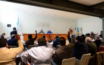 El Concejo Deliberante aprobó por unanimidad el préstamo de las tierras al Virreyes Rugby Club